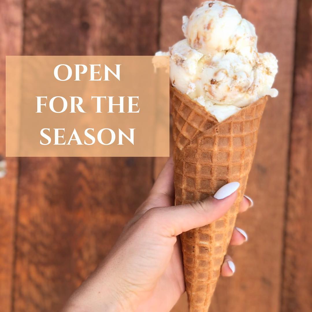 Sherbet scoops with bright pink flavour labels