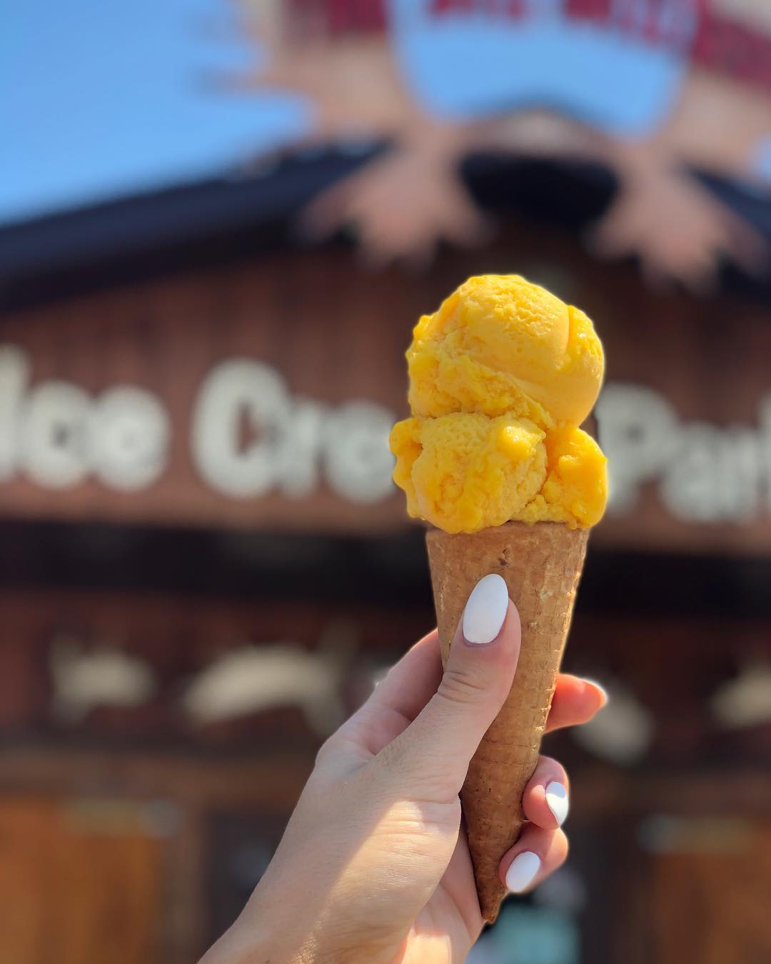 The taxidermy moose mount inside the parlour