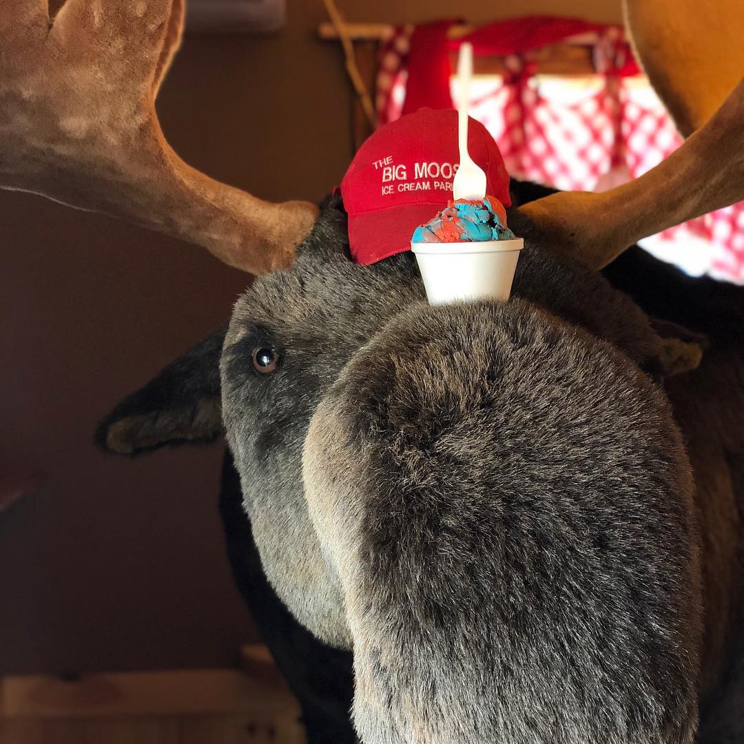 A scoop of ice cream in a sugar cone