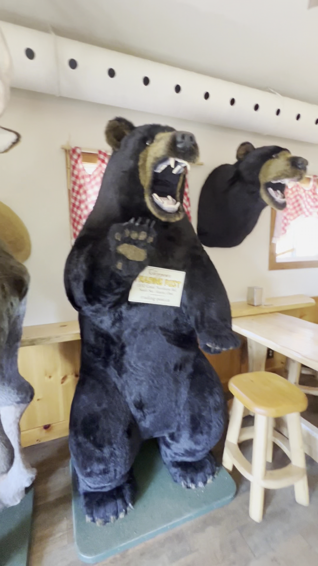 Close-up of an oversized waffle cone with multiple scoops